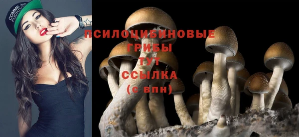 jwh Арсеньев