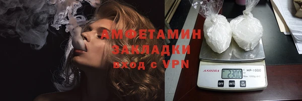 прущие грибы Аркадак