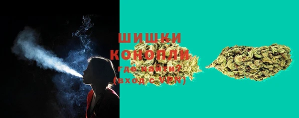 прущие грибы Аркадак
