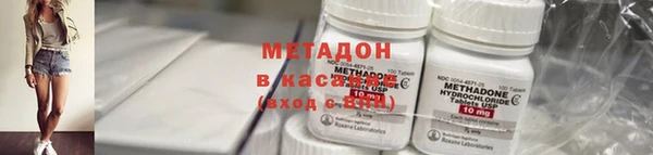 прущие грибы Аркадак