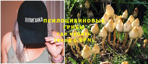 прущие грибы Аркадак