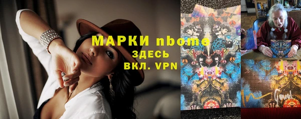 прущие грибы Аркадак