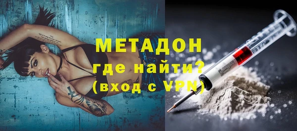 прущие грибы Аркадак