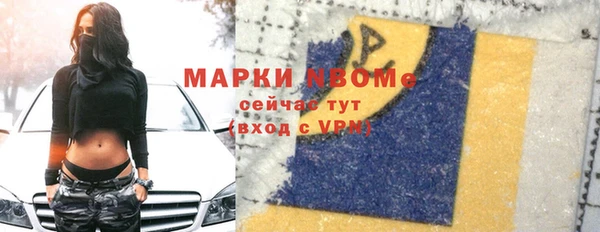 прущие грибы Аркадак