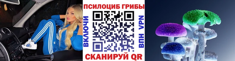 мега маркетплейс  закладки  Руза  Псилоцибиновые грибы мухоморы 